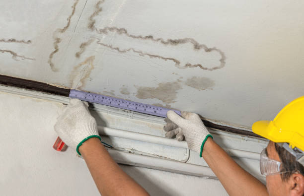 Affordable Water Damage Repair solutions in Louisburg, KS